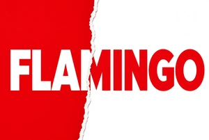 Flamingo Packaging